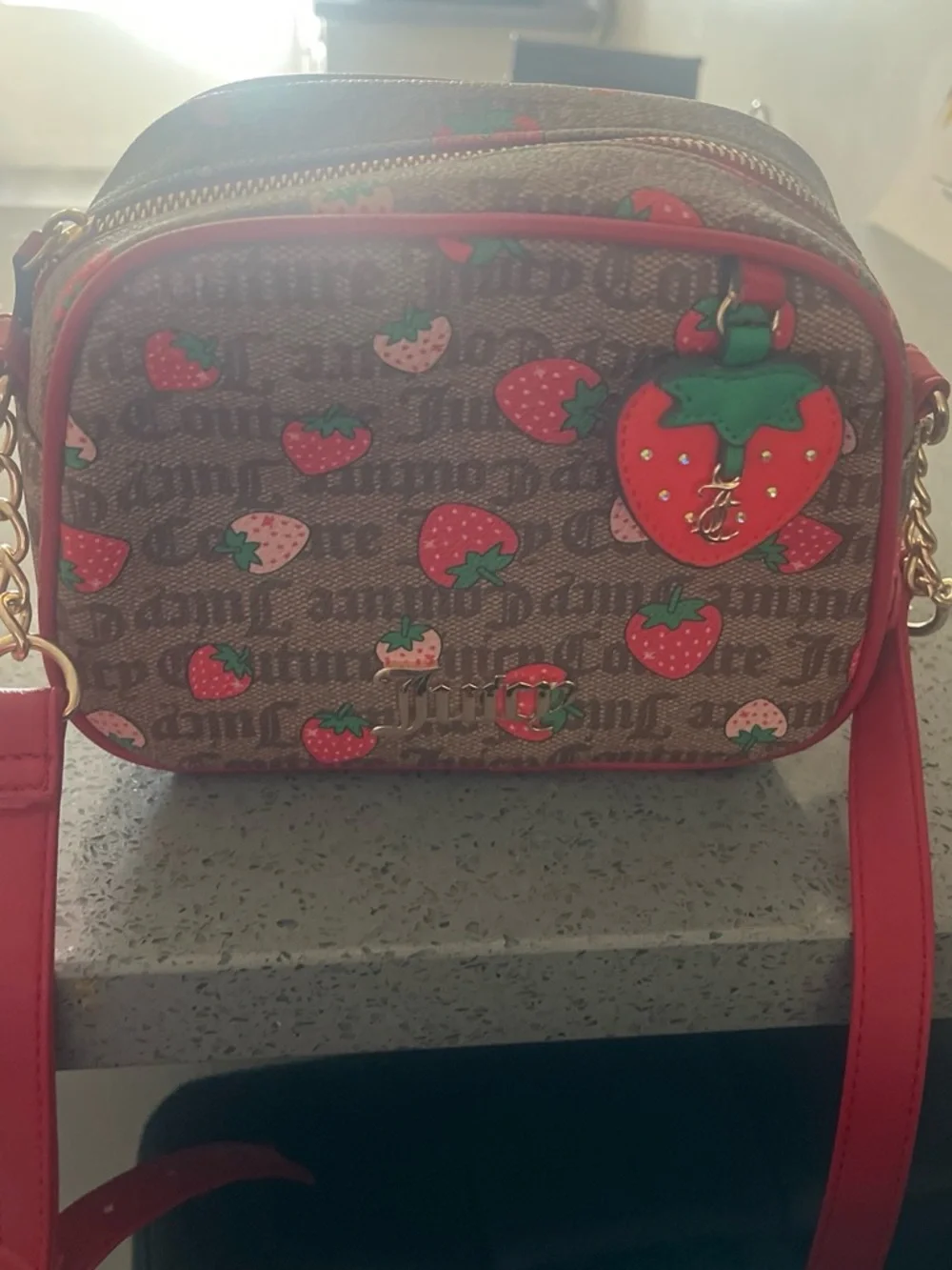 Juicy Couture Brown Strawberry Print Cosmetic Case with Red Trim